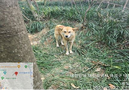 대전동물보호센터_430367202300667